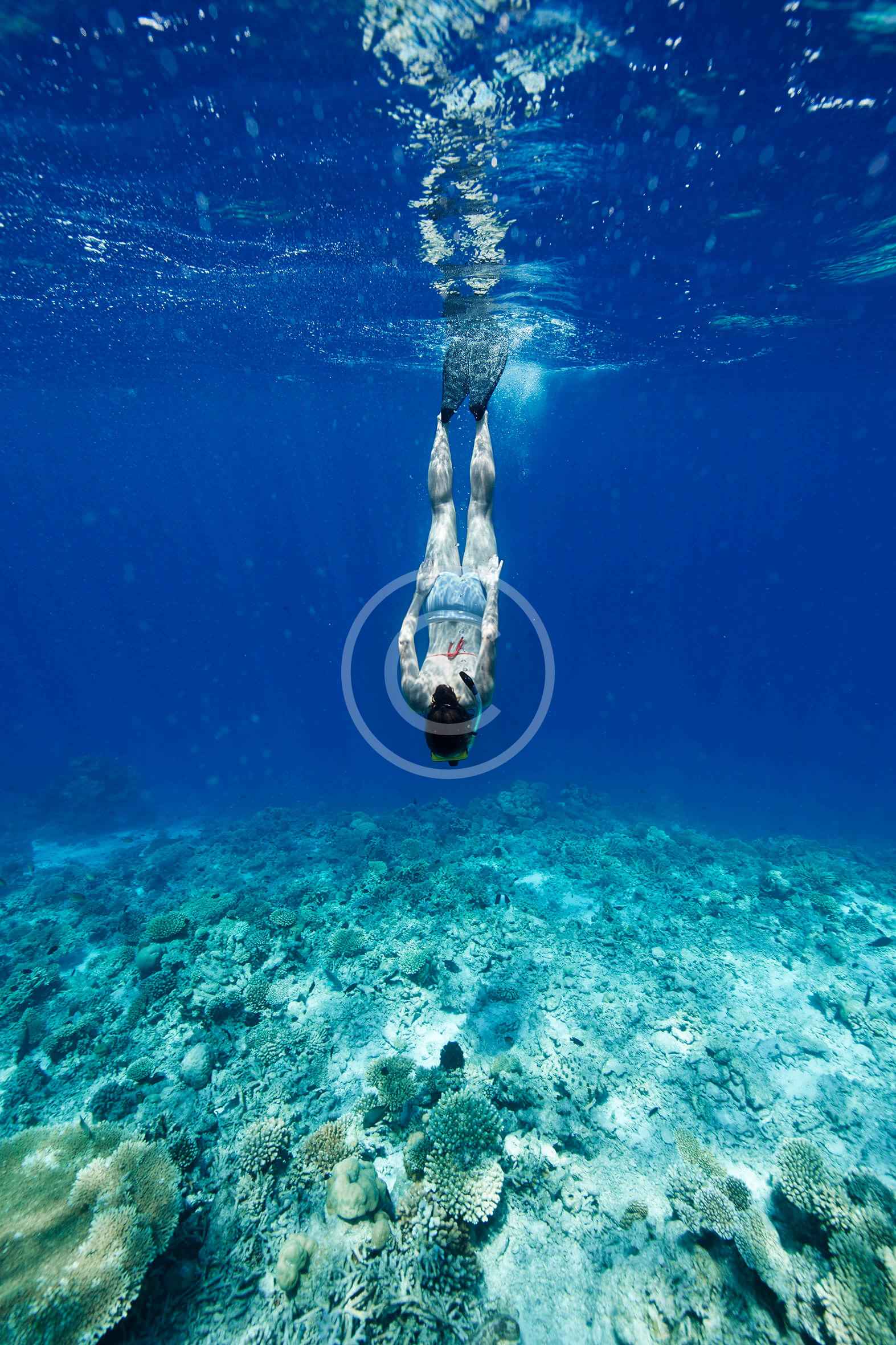 Snorkeling reefs